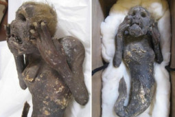 Phi thường - kỳ quặc - Bí ẩn xác ướp "nàng tiên cá" bị đồn ăn vào bất tử ở Nhật Bản