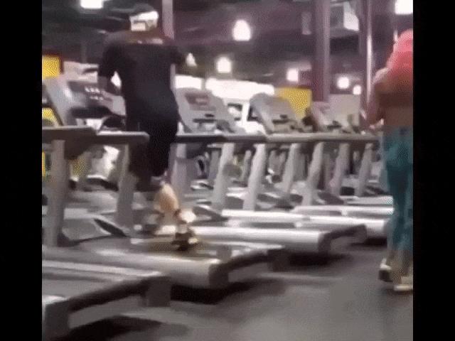 Tranh vui - Những tình huống khó tin khiến bao người "đứng tim" trong phòng gym