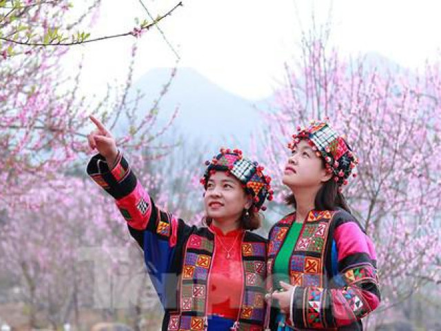 Du lịch - Mê mẩn sắc hoa đào trên cao nguyên đá