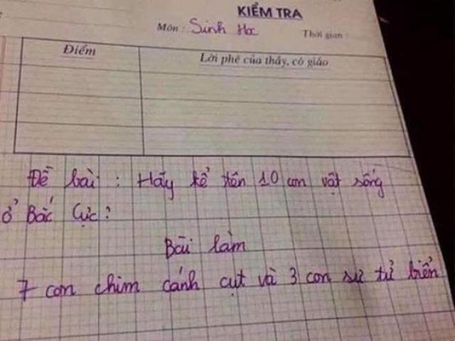 Bạn trẻ - Cuộc sống - Yêu cầu "kể tên 10 con vật sống ở Bắc Cực", đáp án của học sinh khiến giáo viên ''tức anh ách''