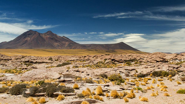 Sa mạc Atacama, Chile: Với những khe núi lởm chởm, mạch nước phun cuồn cuộn và các bãi muối khô cằn, cảnh quan của sa mạc Atacama siêu tưởng như trên sao Hỏa.
