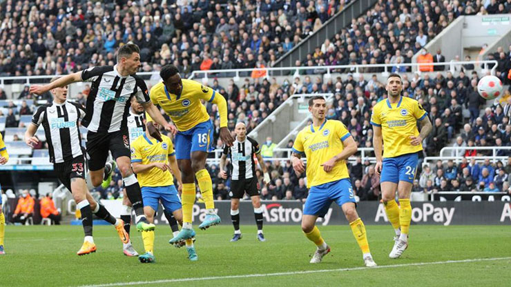 Newcastle vừa thắng Brighton 2-1 để nâng chuỗi bất bại liên tiếp ở giải Ngoại hạng Anh của mình lên con số 8