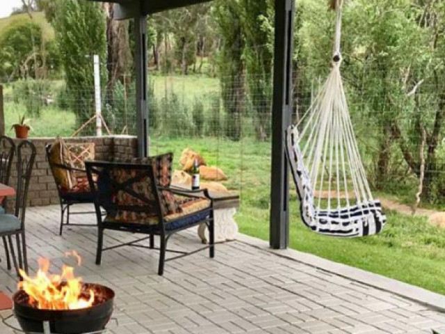 Du lịch - Khi bạn ở trong lồng và sư tử trở thành khách tham quan là trải nghiệm thế nào?