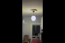 Phi thường - kỳ quặc - Bàn tay "mọc" giữa đèn trần khiến cả nhà thức trắng đêm, nhìn rõ vật thể mới thở phào nhẹ nhõm