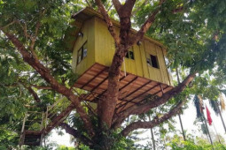 Kinh doanh - Kỳ lạ những ngôi nhà “treo” trên cây “quái dị” nhất Việt Nam