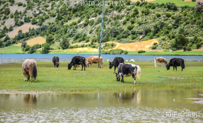 The mysterious beauty of the tricolor lake in the Tibetan plateau - 6