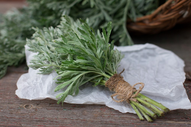 Bị rối loạn tiền đình nên uống thuốc gì để cải thiện triệu chứng? - 2