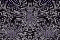 Bạn trẻ - Cuộc sống - Ảo ảnh quang học trong những vòng xoáy đen trắng khiến dân mạng “điên cuồng”