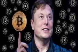 Kinh doanh - Elon Musk hé lộ danh tính cha đẻ của Bitcoin?