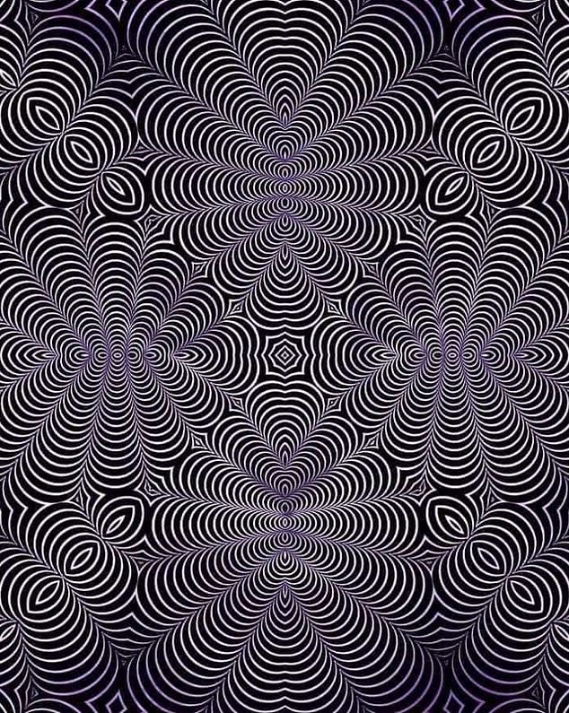 Optical illusions in black and white swirls make netizens 
