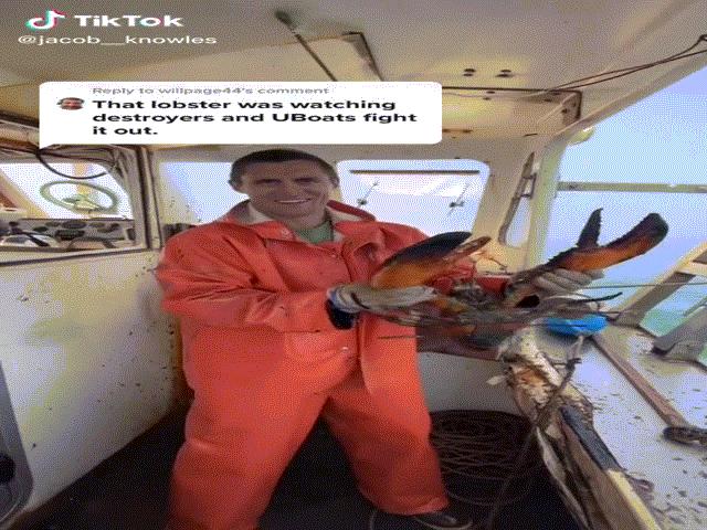 Phi thường - kỳ quặc - Video chỉ quay một con tôm hùm nhưng thu hút hơn 13 triệu view, có gì đặc biệt?