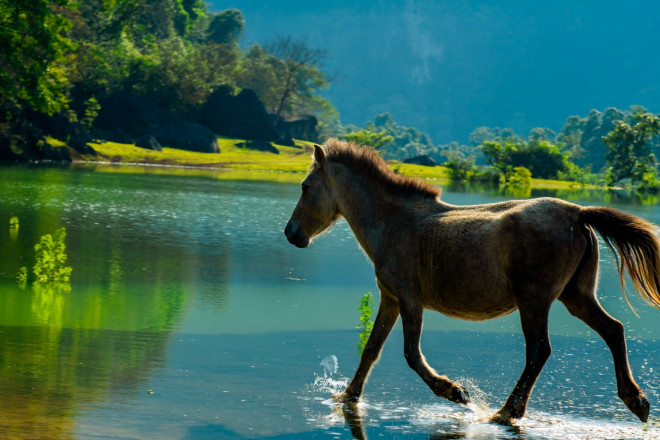 Vó ngựa thênh thang trên thảo nguyên Đồng Lâm của xứ Lạng - 6