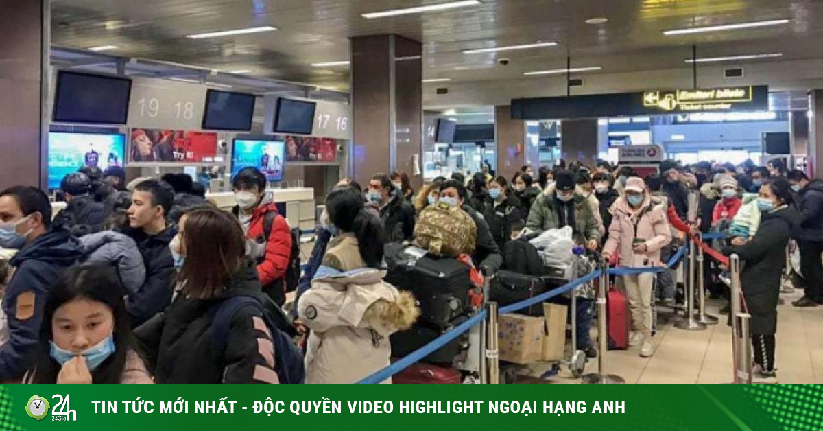 Two flights in one day bring 600 Vietnamese evacuated from Ukraine back to their homeland