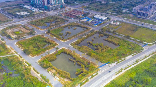 Ho Chi Minh City People's Committee Chairman: There will be plans to re-auction Thu Thiem land - 1
