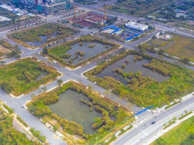 Tin tức trong ngày - Chủ tịch UBND TP HCM: Sẽ có phương án đấu giá lại đất Thủ Thiêm