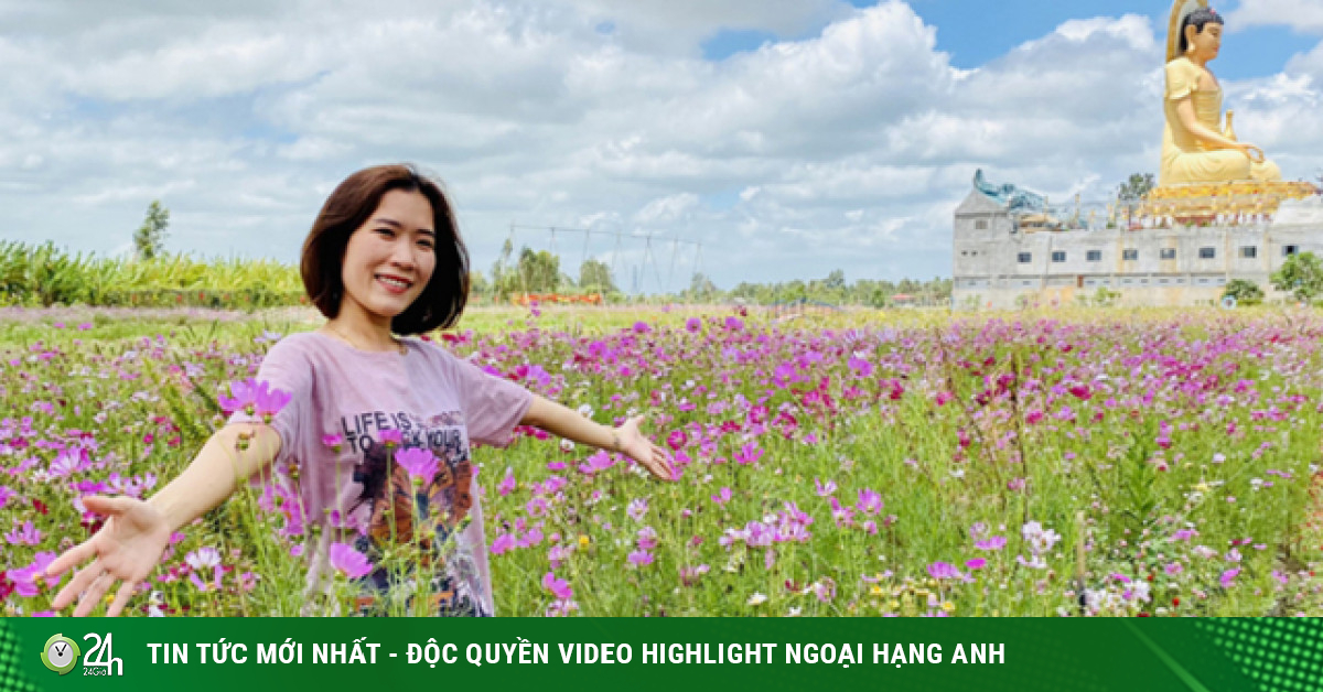 Young people flock to check-in at fields of colorful flowers in Bac Lieu-Travel