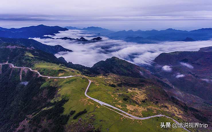 2. Diện tích rừng ở Shennongjia chiếm hơn 85%, khí hậu cận nhiệt đới gió mùa. Mùa đông nơi này khí hậu ôn hòa nhưng vào mùa hè thì mưa nhiều và ẩm ướt. Đây là một trong những khu vực có nhiều bí ẩn và toạ lạc ở vị trí ngoạn mục nhất Trung Quốc.
