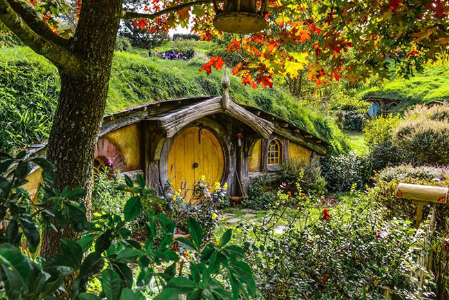 New Zealand: Nơi đây&nbsp;có phong cảnh rất ấn tượng. Lũ trẻ&nbsp;sẽ bị mê hoặc ở Rotorua bởi&nbsp;những ngọn đèn lấp lánh nhỏ xíu trong các hang của Waitomo và&nbsp;hồ bơi sủi bọt tại bãi biển nước nóng trên bán đảo Coromandel.&nbsp;
