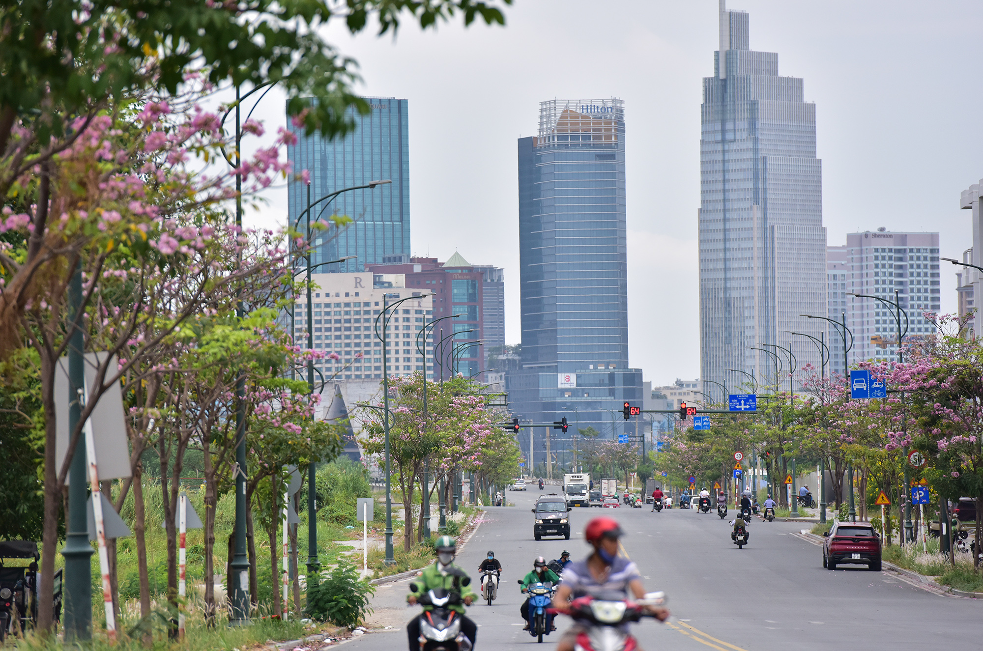 Be in awe of the picturesque sky of pink trumpets on the streets of Ho Chi Minh City - 17