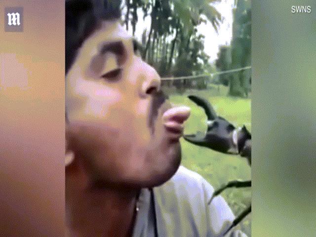 Phi thường - kỳ quặc - Video: Nghịch dại lấy "số má" trước mặt bạn, người đàn ông suýt bị cua kẹp đứt lưỡi
