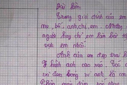 Giáo dục - du học - Bé gái miêu tả anh trai hay chém gió, IQ cao hơn cả Einstein khiến dân mạng cười ngất