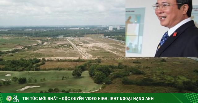 How did Mr. Tran Van Nam cause damage in the Binh Duong golden land case?