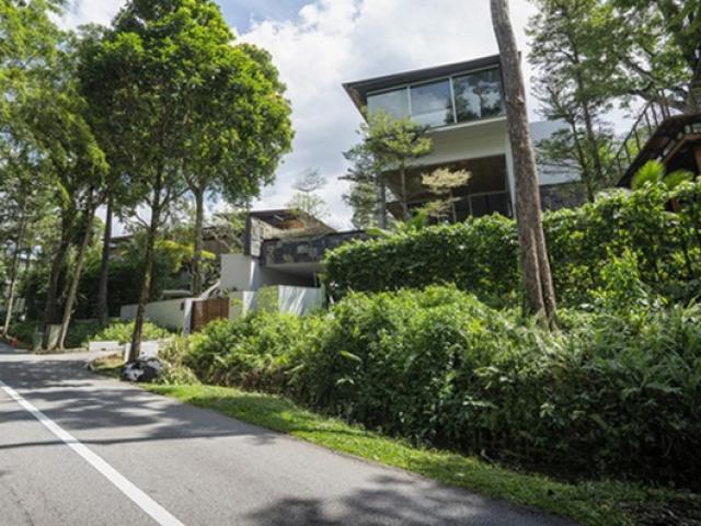 Kinh doanh - Shophouse, biệt thự xưa rồi, kiểu nhà tiền tỷ này đang được lùng mua giá tăng từng ngày