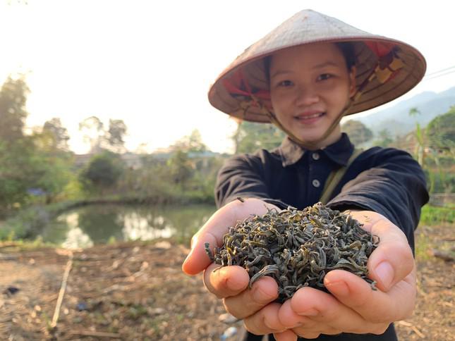 Dù ở đâu thì bằng cách này hay cách khác chúng ta cũng phải lao động! - 8