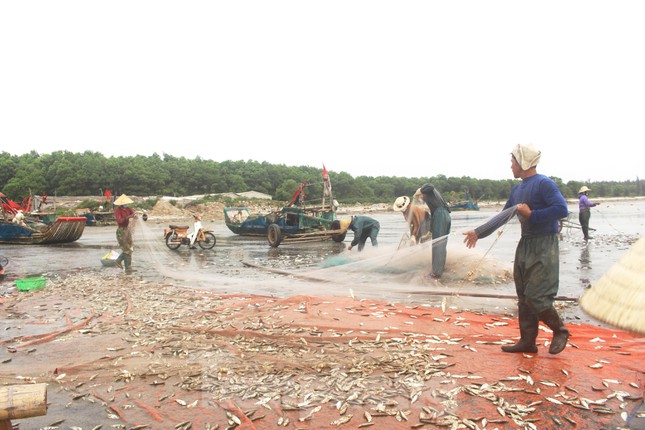 Ngư dân thường xuất phát từ lúc 2h sáng và về bờ từ 8 - 10h sáng trong ngày để kịp bán cá tươi.