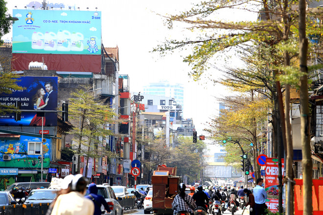 The heartbreaking beauty of Hanoi in the season when the trees change leaves - 3