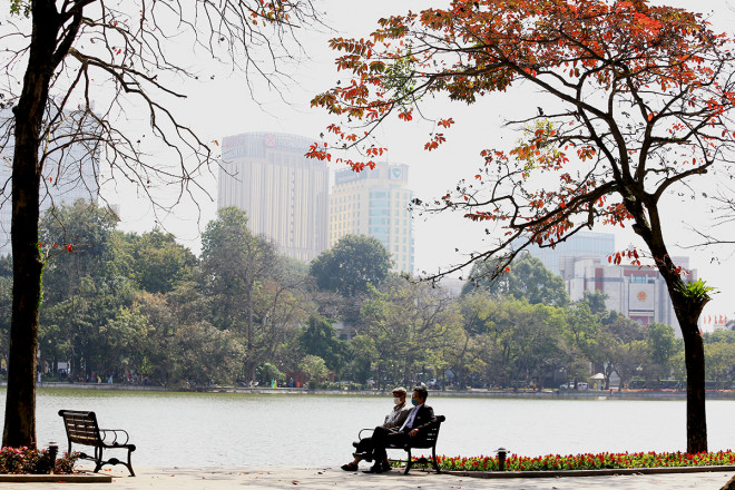 The heartbreaking beauty of Hanoi in the season when the trees change leaves - 9