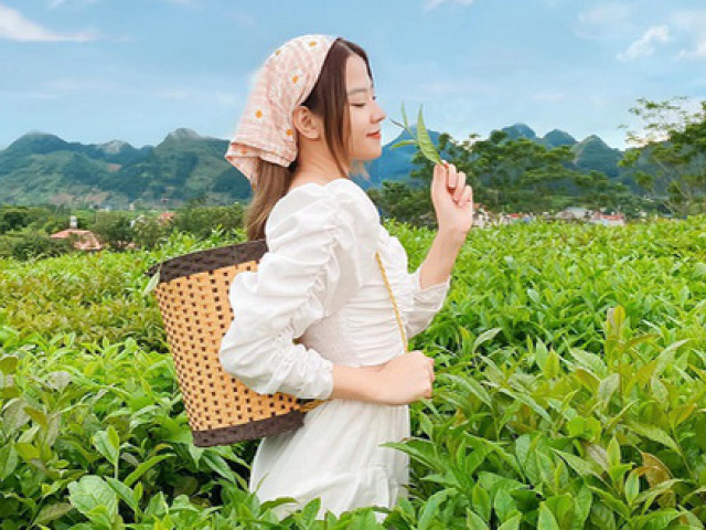 Du lịch - Bỏ túi những "tip" nhỏ sau đây để cuộc hành trình khám phá Tây Bắc trở nên tuyệt vời