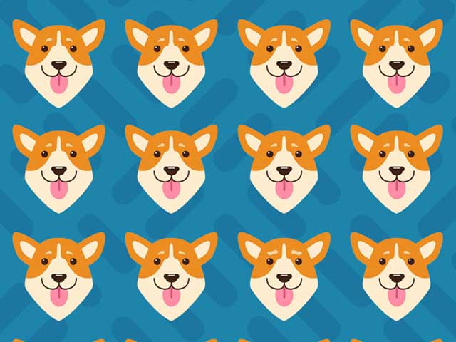 Bạn trẻ - Cuộc sống - Những câu đố khiến bạn nhìn đi nhìn lại cũng chẳng giải nổi