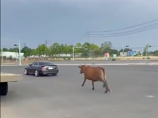 Tin tức ô tô - "Lamborghini" hung hăng rượt đuổi Mercedes drift tóe khói