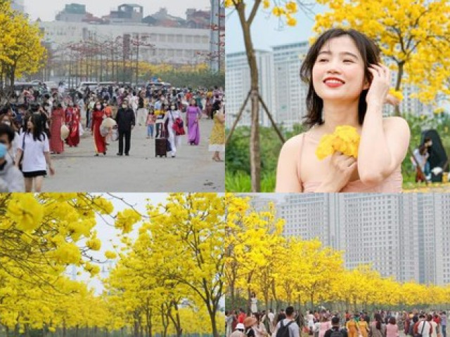 Du lịch - Con đường hoa "hot" nhất Hà Nội lúc này: Đông nườm nượp người tới "check-in", chú ý xe cộ!