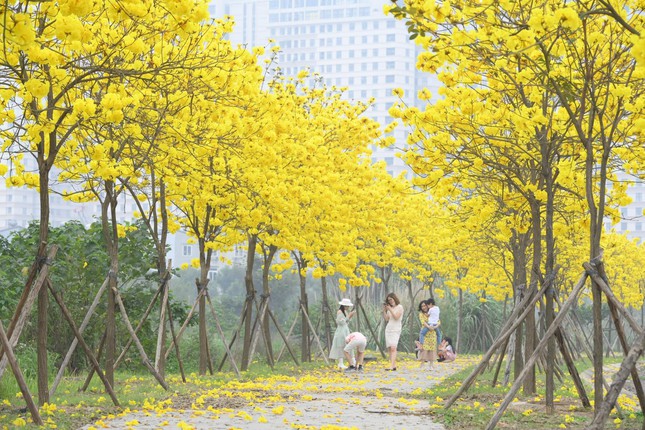 Flower road "hot"  Hanoi at the moment: It's crowded with people "check-in", pay attention to the traffic!  - 2