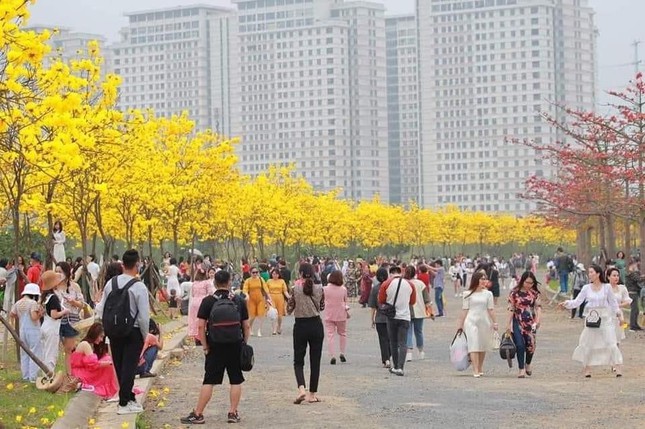 Flower road "hot"  Hanoi at the moment: It's crowded with people "check-in", pay attention to the traffic!  - 8