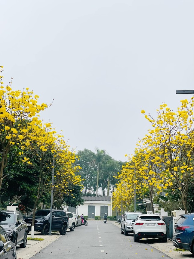 Flower road "hot"  Hanoi at the moment: It's crowded with people "check-in", pay attention to the traffic!  - 6