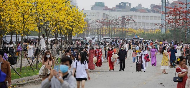 Flower road "hot"  Hanoi at the moment: It's crowded with people "check-in", pay attention to the traffic!  - 7