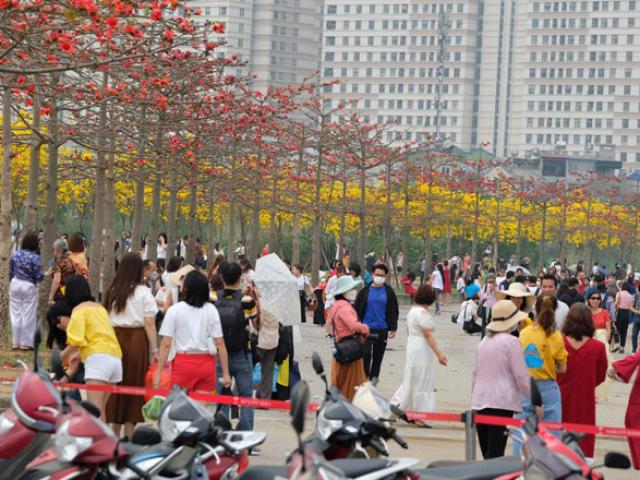 Tin tức trong ngày - Đường hoa đẹp tựa trời Âu giữa lòng Hà Nội bất ngờ "đóng cửa"