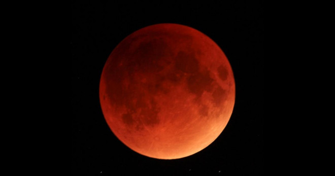 Strange phenomenon: Blood moon makes a series of creatures "free fall"  - first