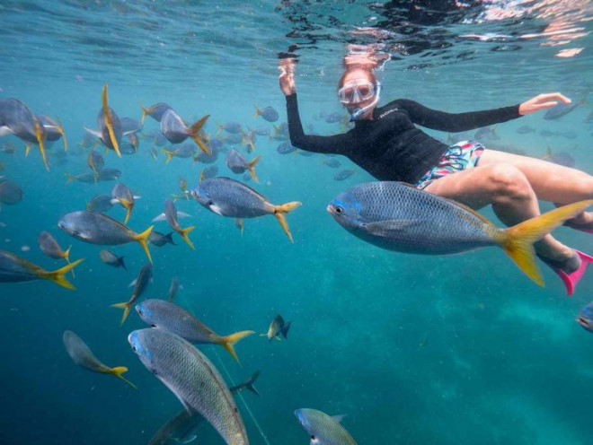 Khách sạn dưới nước cho phép ngắm nhìn rặng san hô vĩ đại nhất thế giới - 6