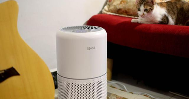 Explaining the attraction of the Levoit Core 300s air purifier