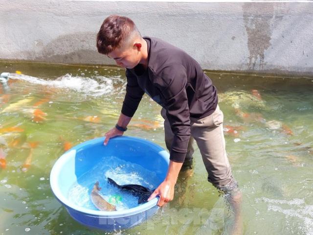 Bạn trẻ - Cuộc sống - Nuôi cá 'quý tộc', chàng trai vùng sâu thu nhập cả tỉ đồng mỗi năm