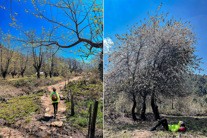 Holding 3 million while climbing Lao Than mountain and hunting clouds as beautiful as a fairy scene - 5