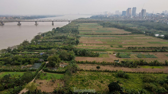Cận cảnh khu vực bãi giữa sông Hồng dự kiến làm công viên văn hóa - 4