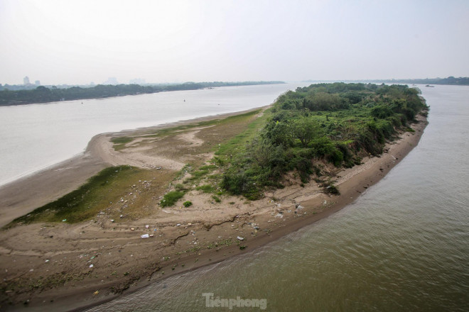Cận cảnh khu vực bãi giữa sông Hồng dự kiến làm công viên văn hóa - 12