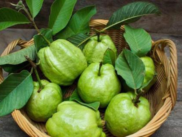 Ẩm thực - Những người mắc các bệnh sau không nên ăn ổi kẻo "hối không kịp"