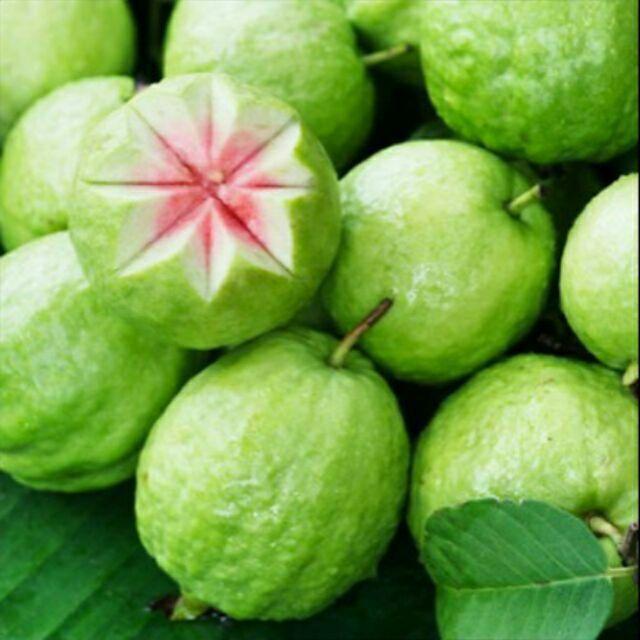 Những người mắc các bệnh sau không nên ăn ổi kẻo "hối không kịp" - 1