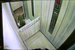 Phi thường - kỳ quặc - Video: Bị chó Pitbull tấn công, cô gái chui vào thang máy vẫn không thoát